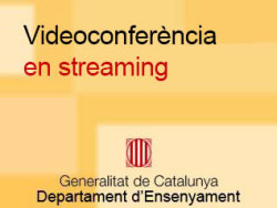 videoconferencia2
