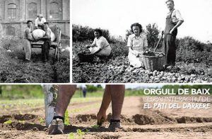 memoria_de_paisatge_2