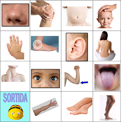 beebots-el_cos_huma-imatge