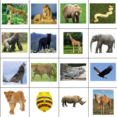 beebots-animals_salvatges-imatge