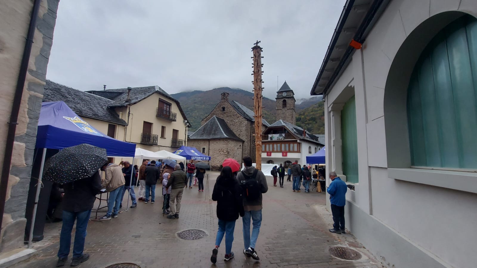 8ad014f4-0ece-4142-8f55-7021ffac976b