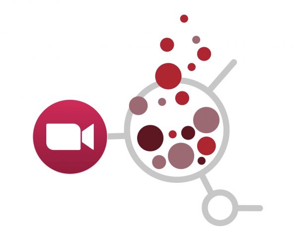 Laboratori Transformació Educativa