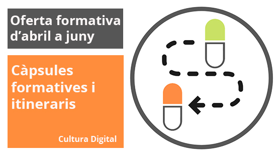 Capsules Formatives 22