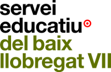 servei educatiu del baix llobregat VII