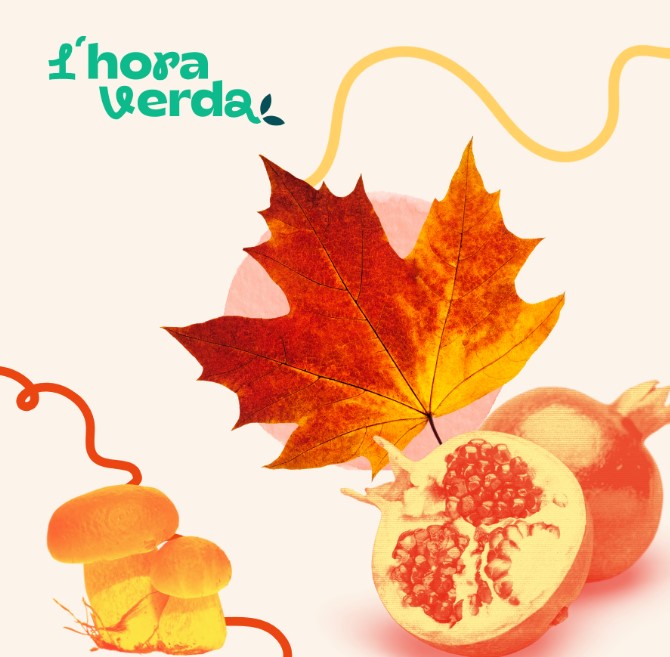hora_verda