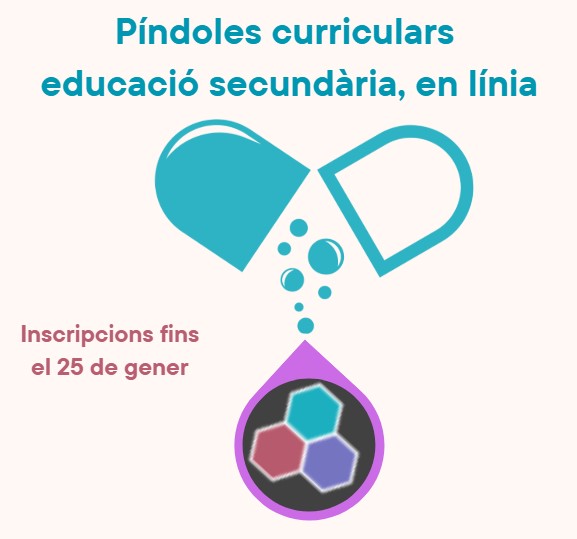 Píndoles Currículum