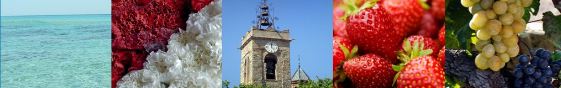 Captura de pantalla 2025-10-07 121245