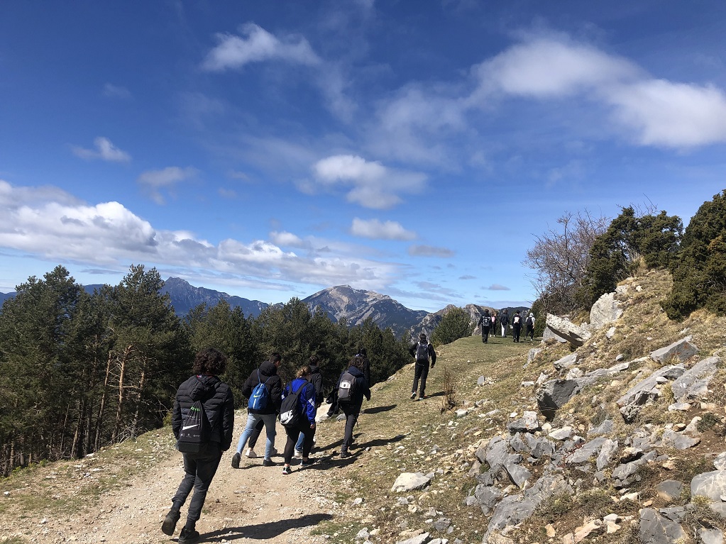 8274A6C9-7AA1-4160-A6F3-5A1D82563548