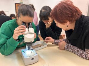 3 mestres observant microplàstics a la sorra de la platja