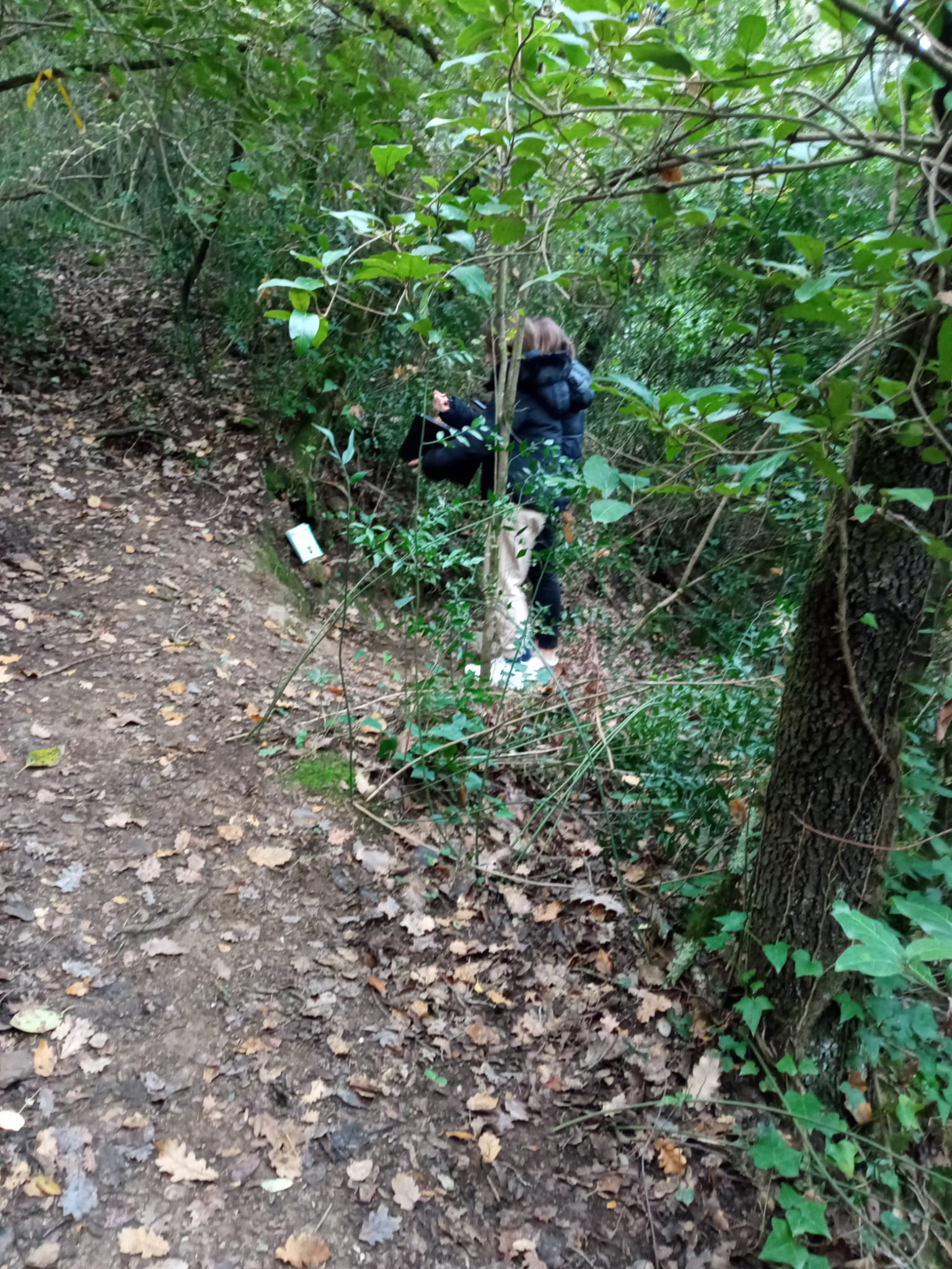 WhatsApp Image 2025-11-21 at 08.48.48