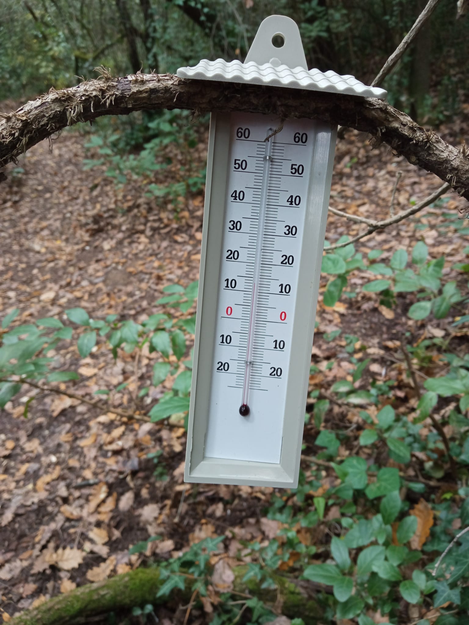 WhatsApp Image 2025-11-21 at 08.48.49 (1)