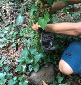 Càmera fototrampeig