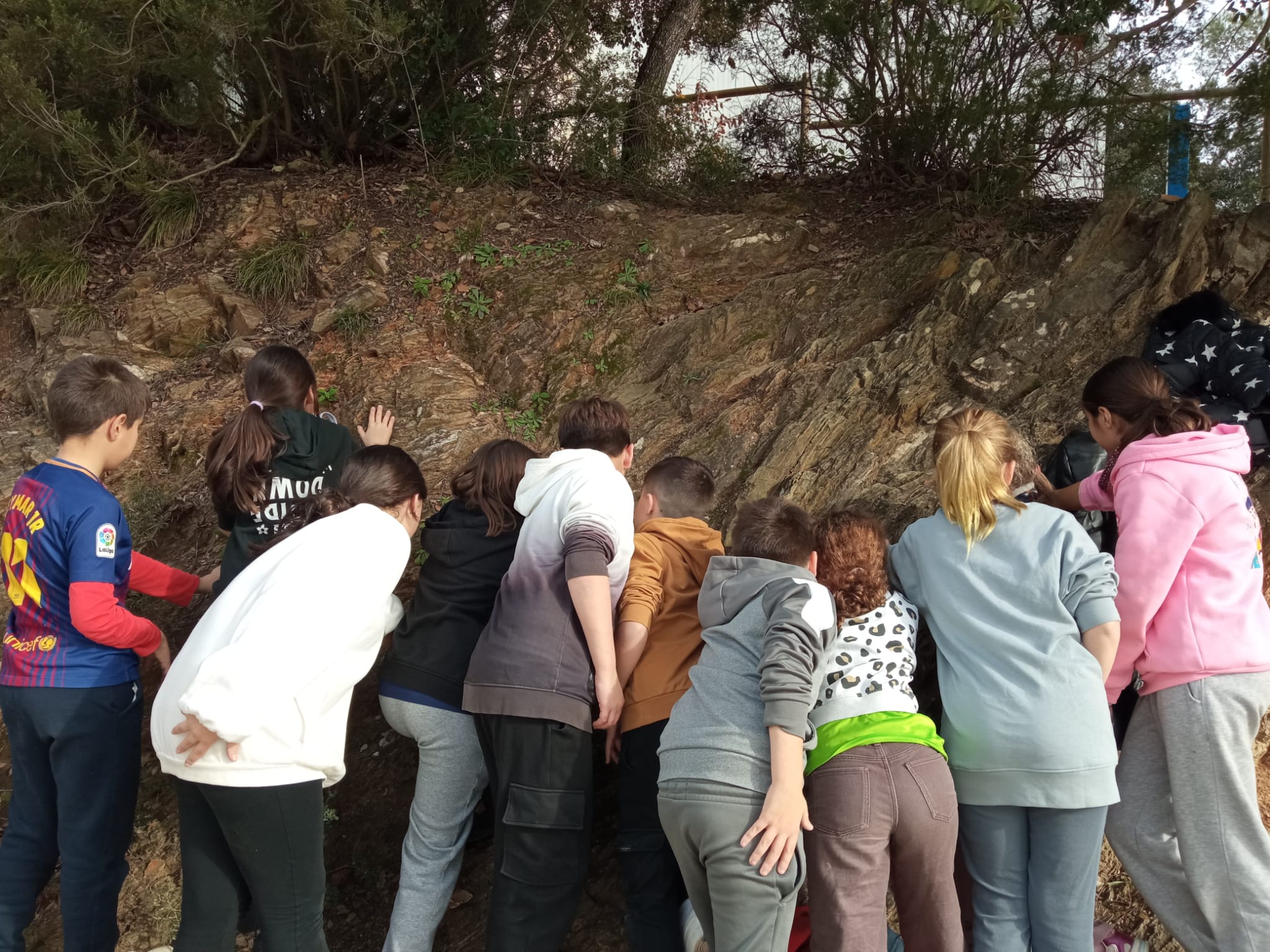 WhatsApp Image 2026-01-12 at 15.16.03