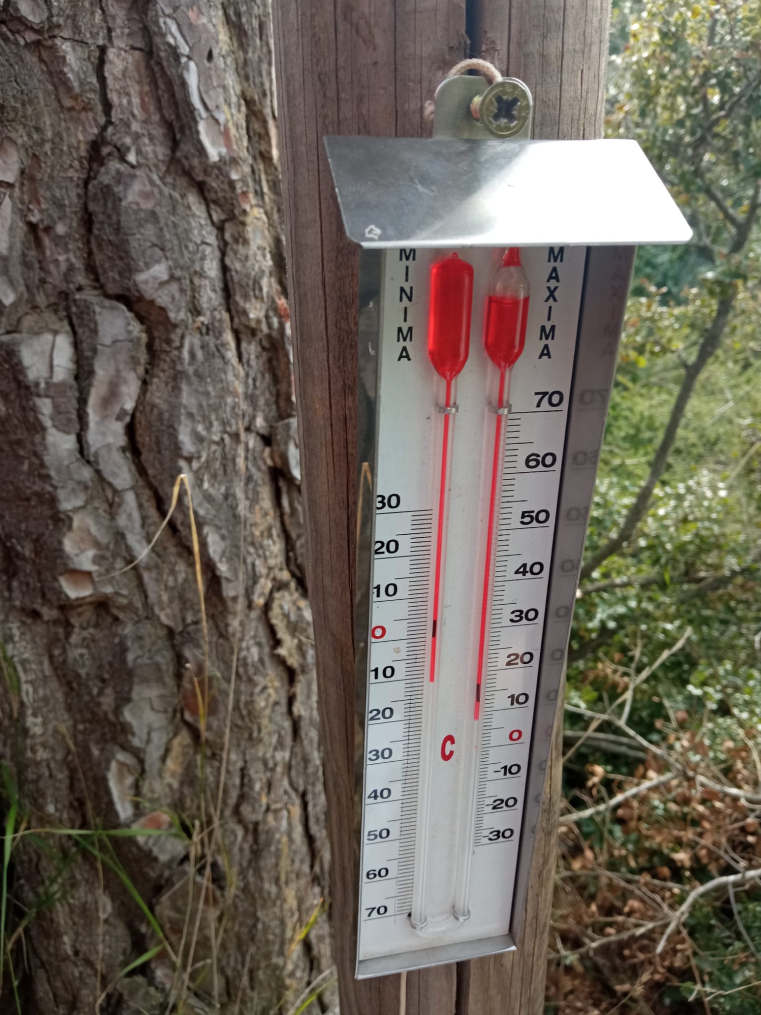 WhatsApp Image 2026-01-12 at 15.16.51