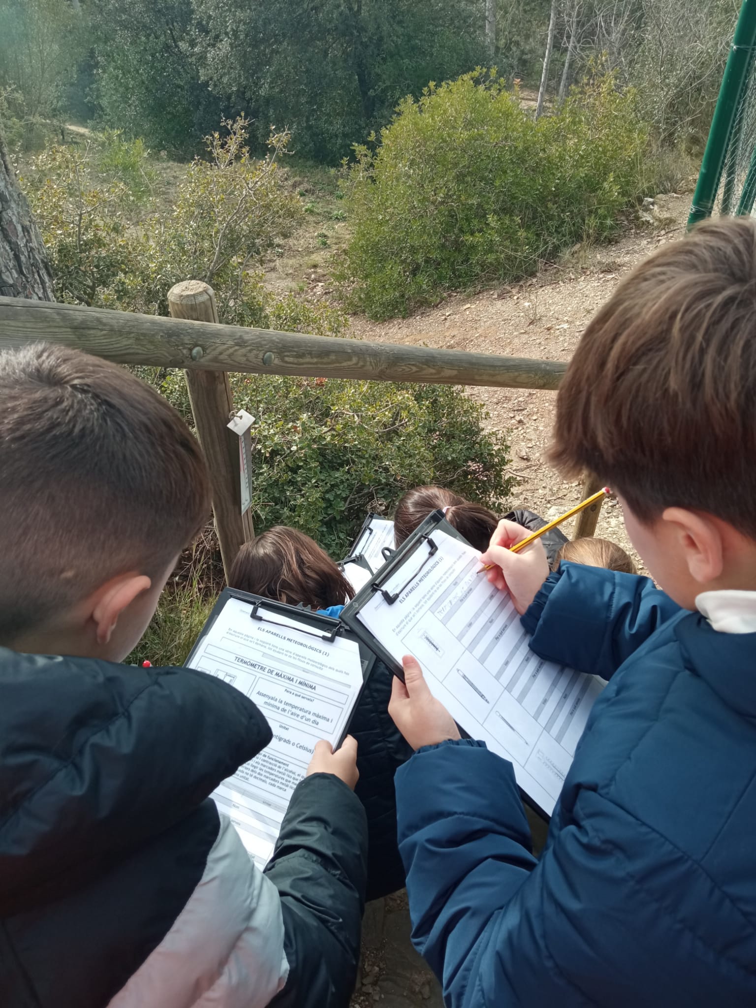 WhatsApp Image 2026-01-12 at 15.16.52