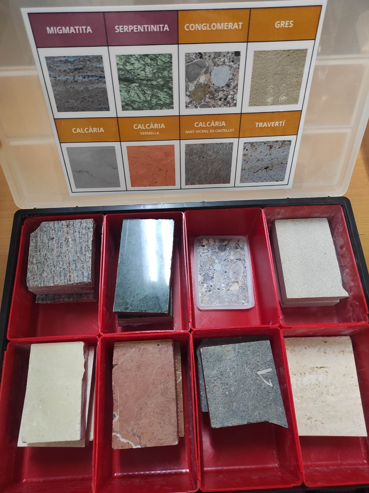 WhatsApp Image 2026-01-14 at 10.33.50 (1)