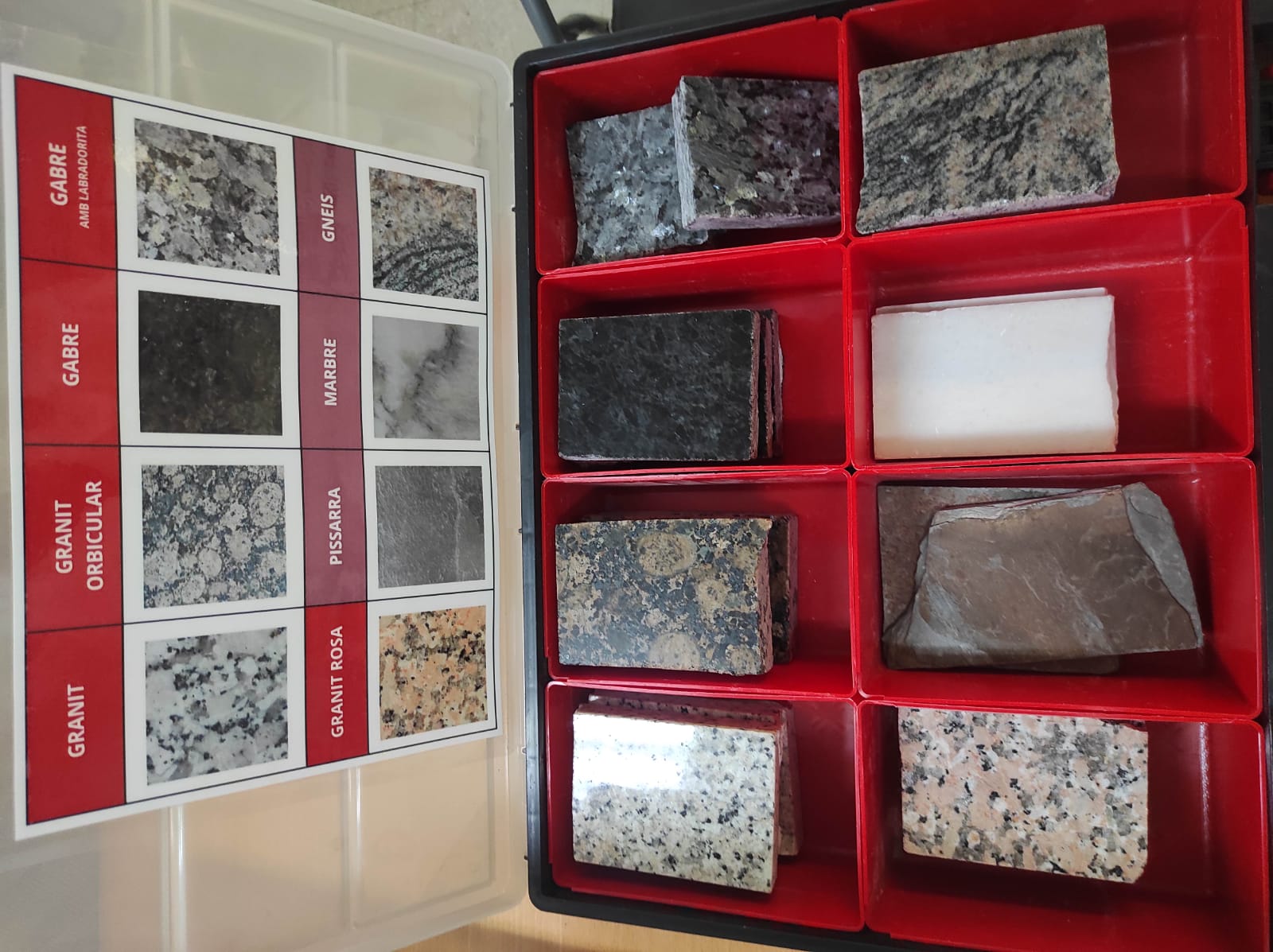 WhatsApp Image 2026-01-14 at 10.33.50