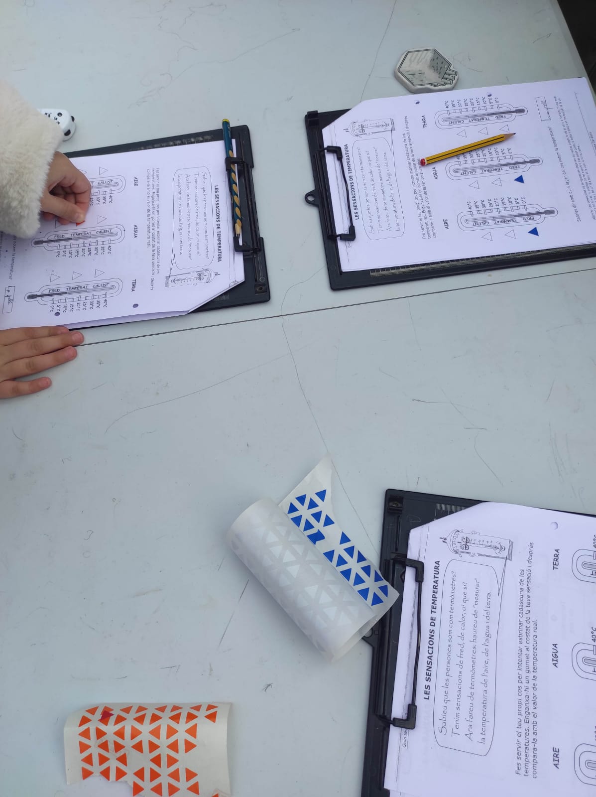 WhatsApp Image 2026-01-16 at 14.22.40 (2)