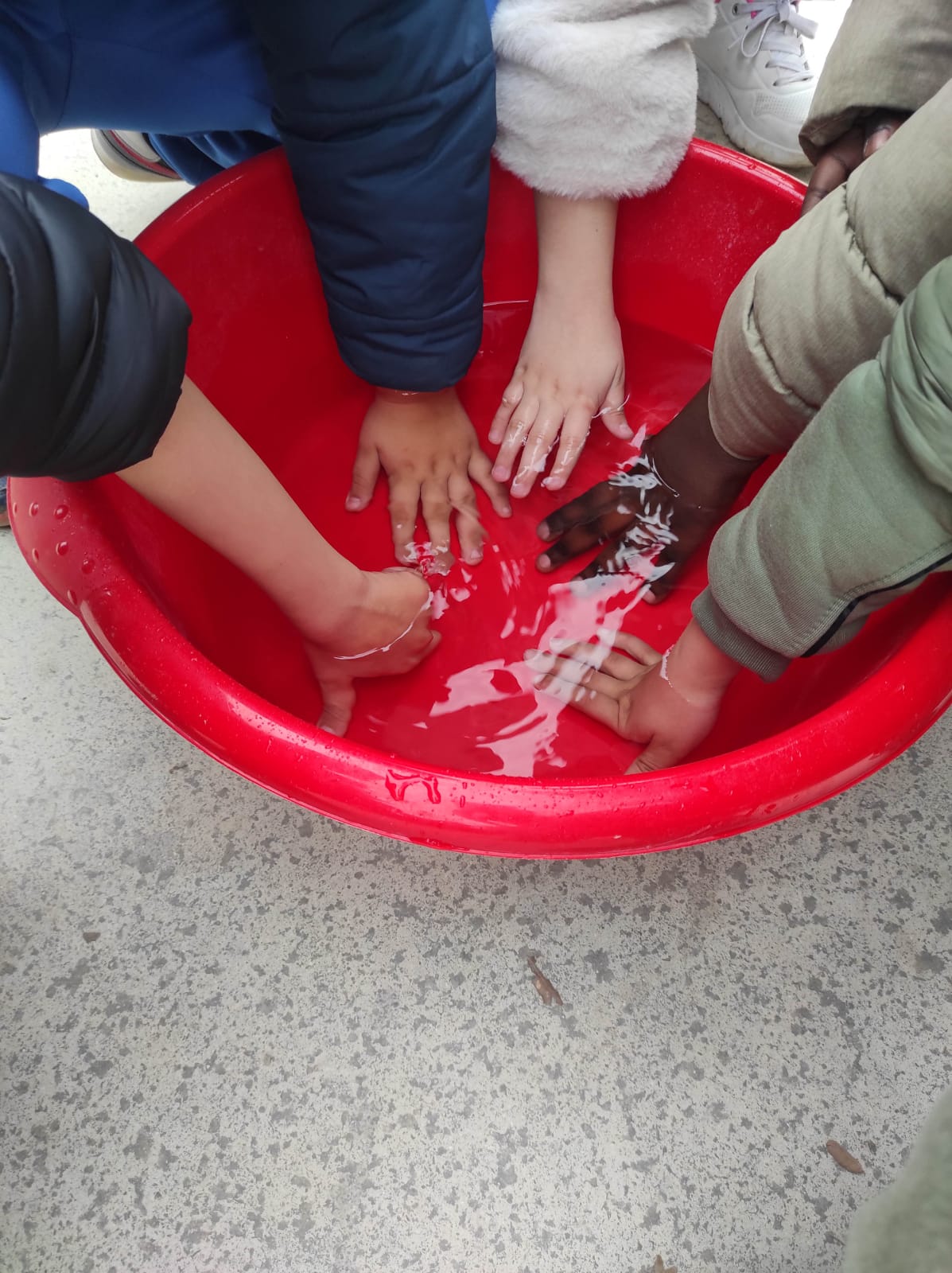 WhatsApp Image 2026-01-16 at 14.22.40 (3)