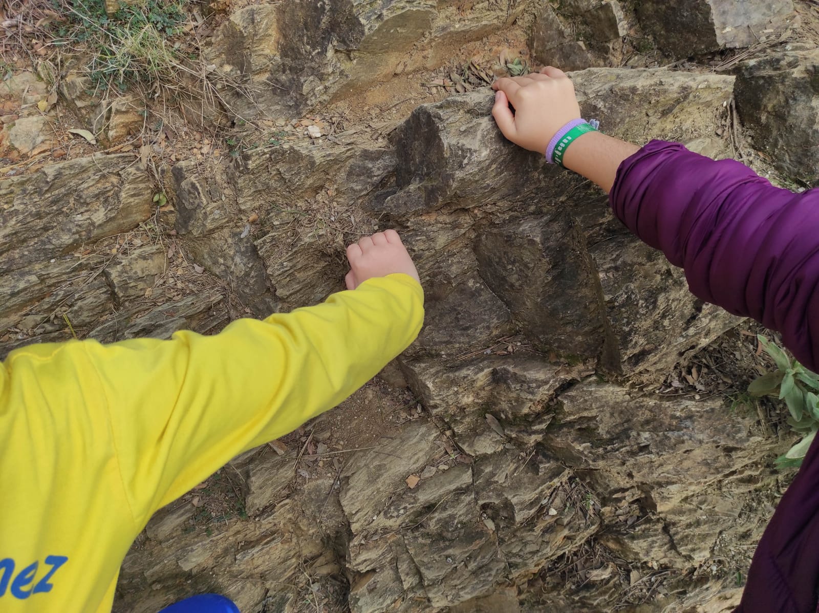 WhatsApp Image 2026-01-16 at 14.22.40