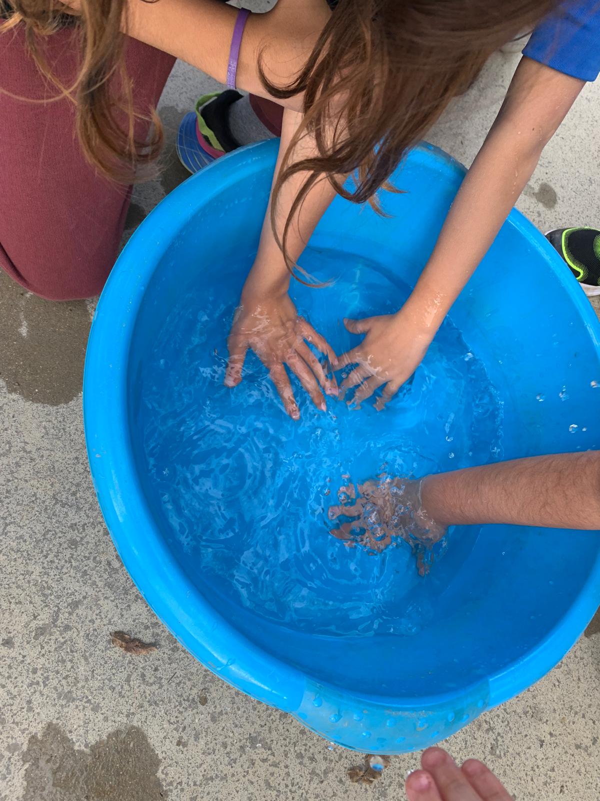 WhatsApp Image 2026-01-16 at 14.25.08 (1)