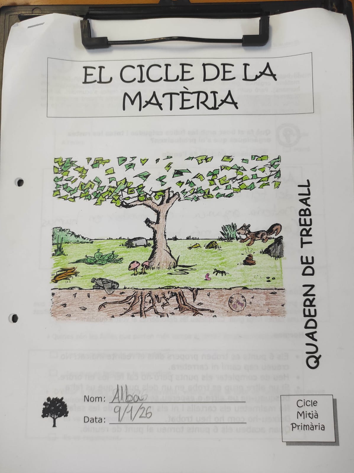 WhatsApp Image 2026-01-26 at 10.38.20 (2)