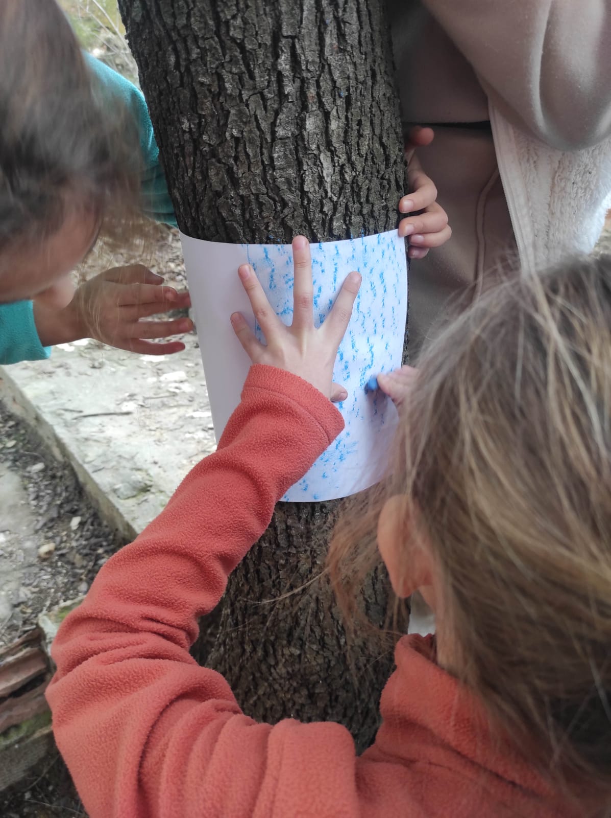 WhatsApp Image 2026-01-26 at 10.38.20