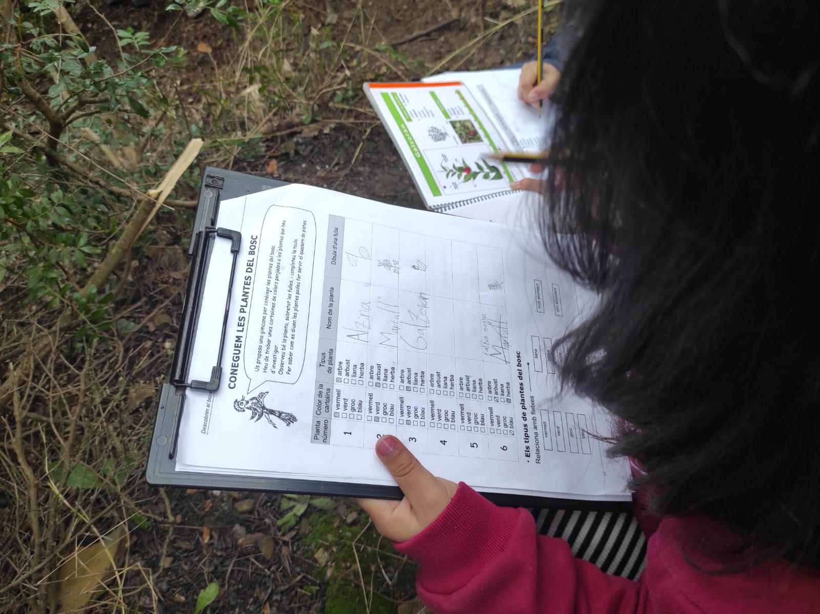 WhatsApp Image 2026-01-27 at 14.40.13 (1)