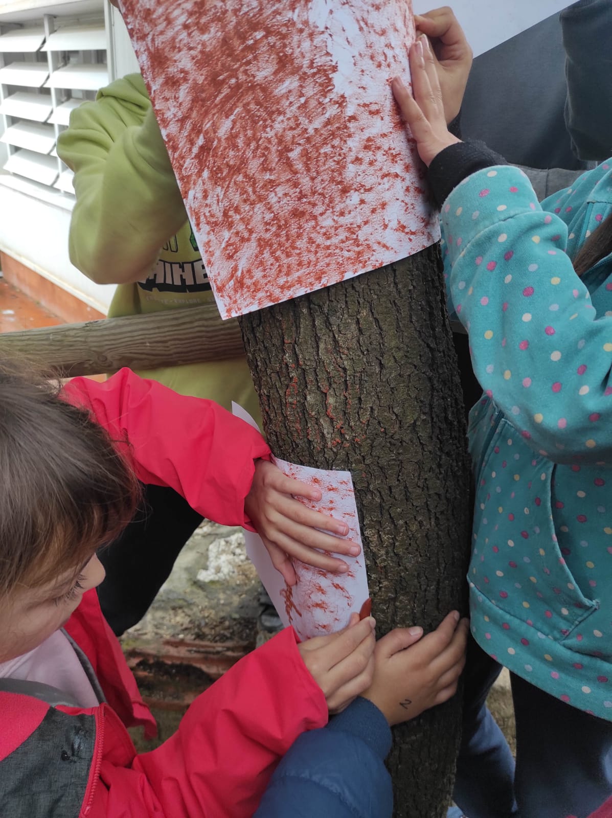 WhatsApp Image 2026-01-27 at 14.40.13