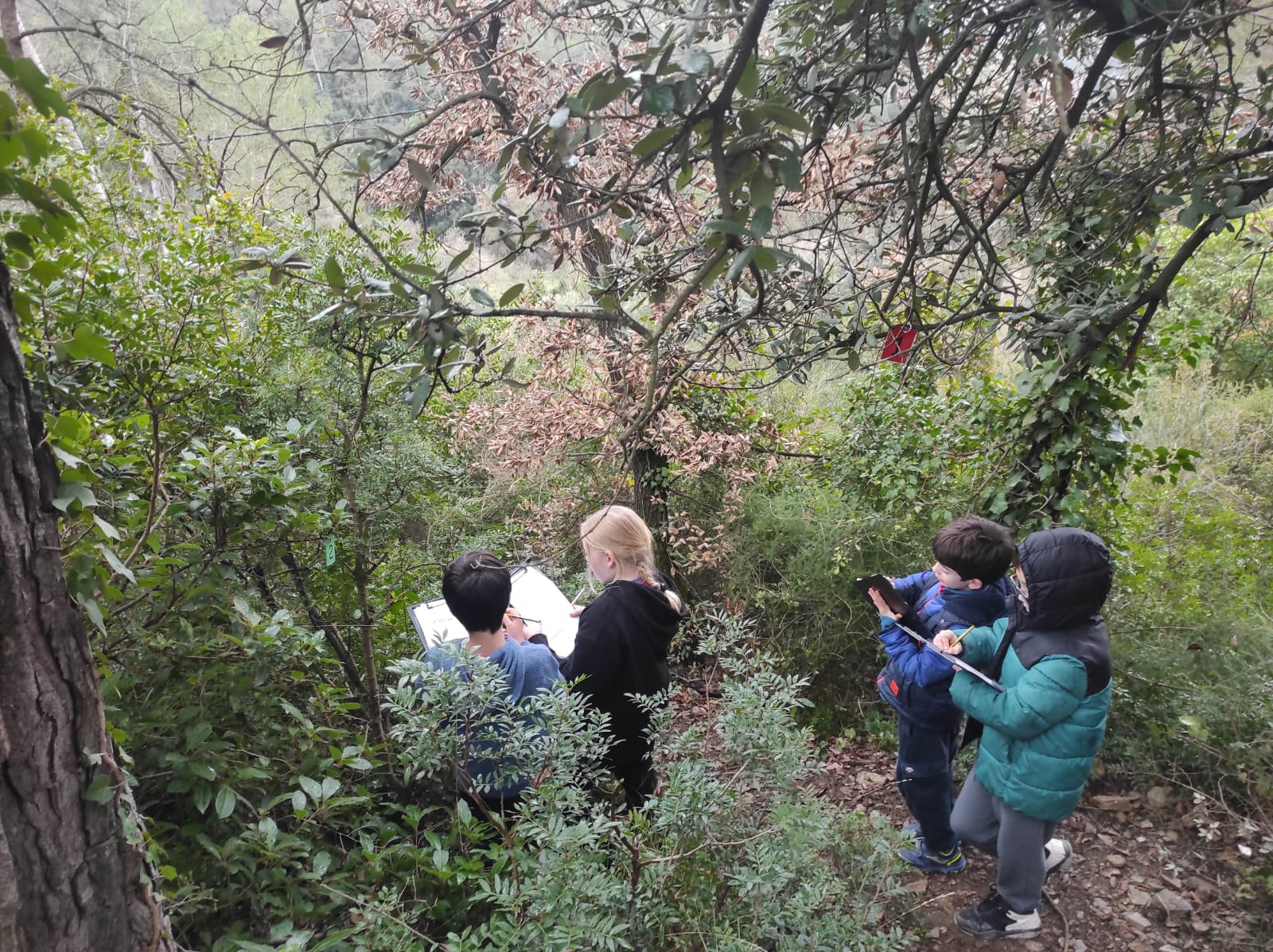 WhatsApp Image 2026-01-27 at 14.40.14 (1)