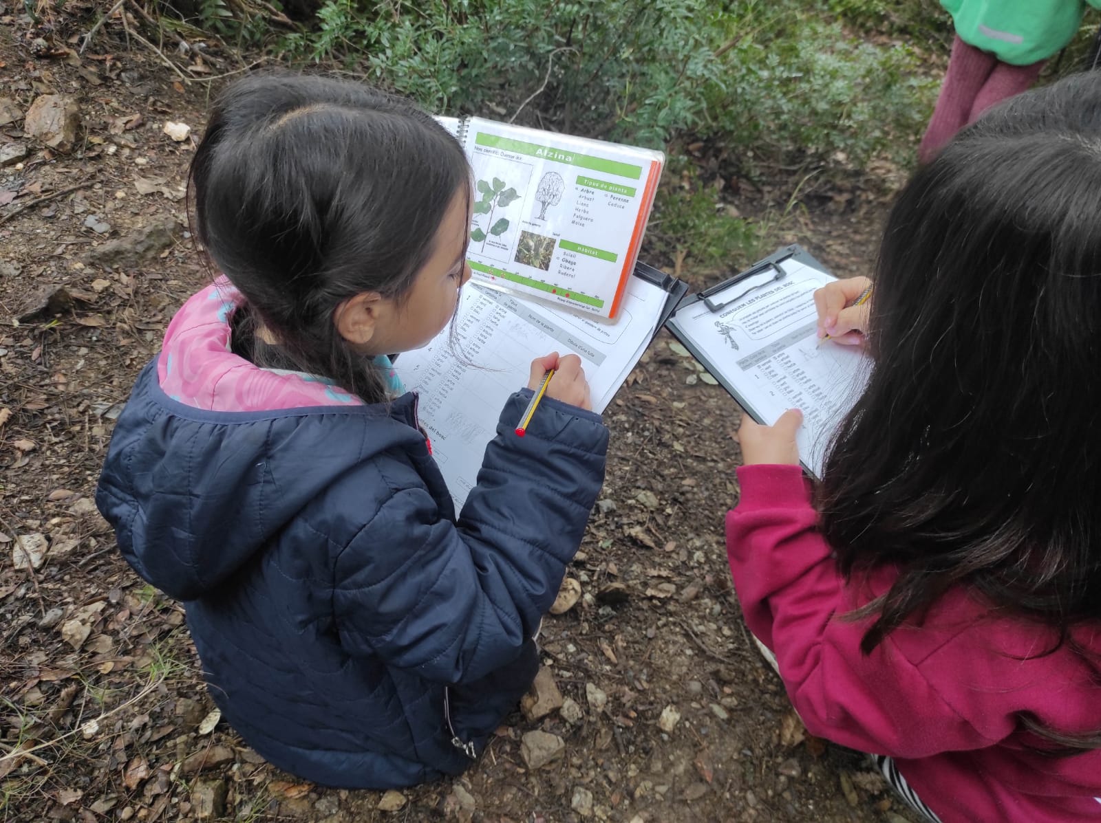 WhatsApp Image 2026-01-27 at 14.40.14 (4)