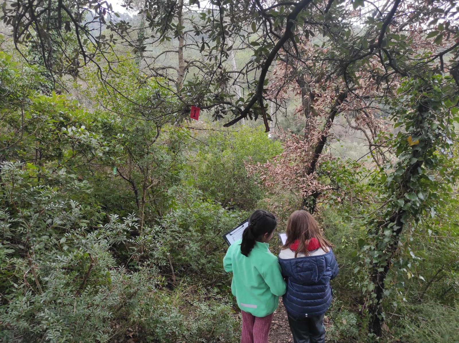 WhatsApp Image 2026-01-27 at 14.40.14