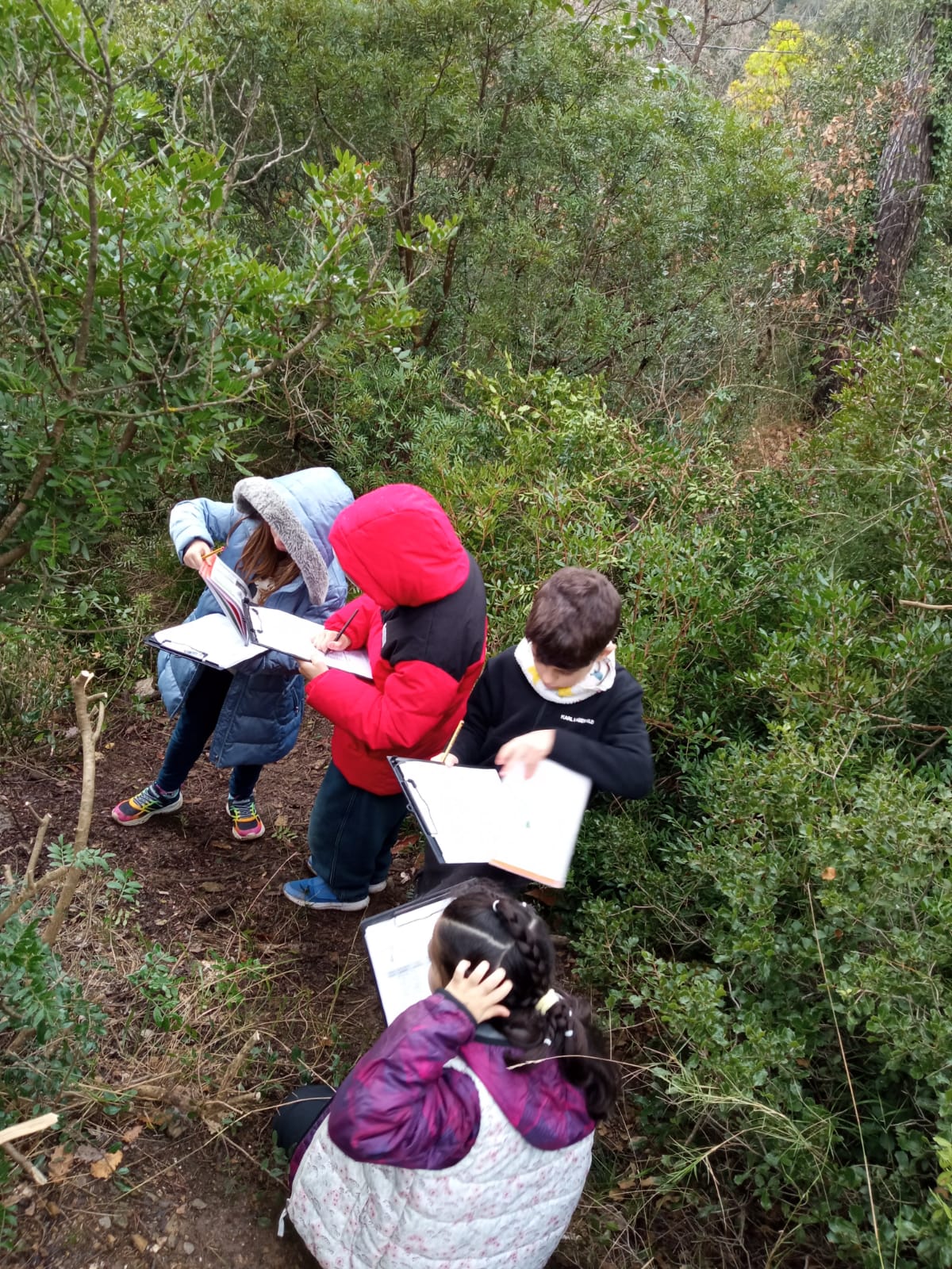 WhatsApp Image 2026-01-27 at 14.56.57 (1)