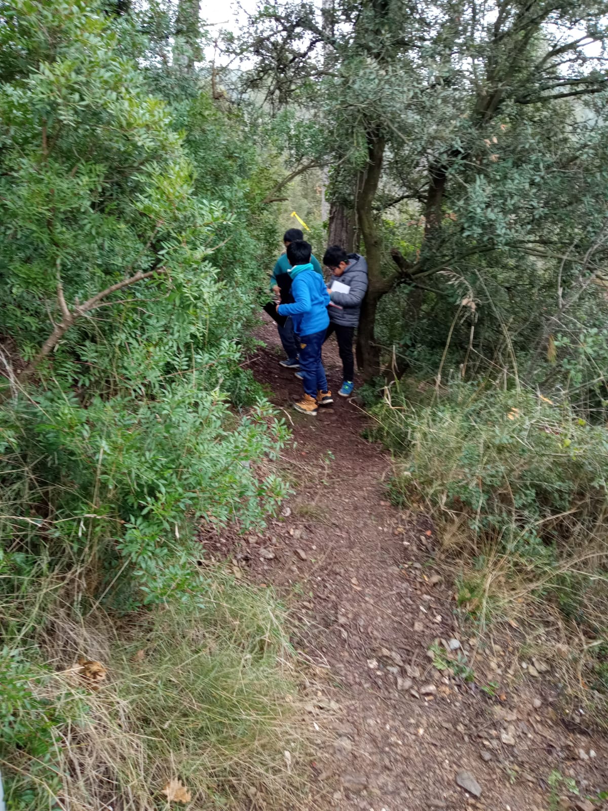 WhatsApp Image 2026-01-27 at 14.56.57