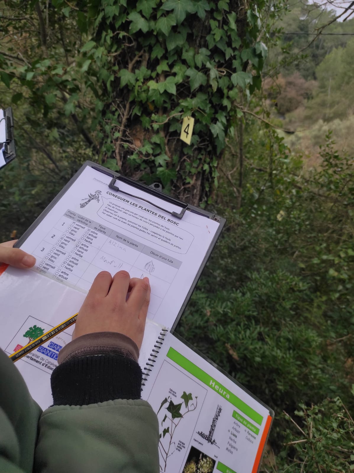 WhatsApp Image 2026-01-28 at 14.15.10 (1)