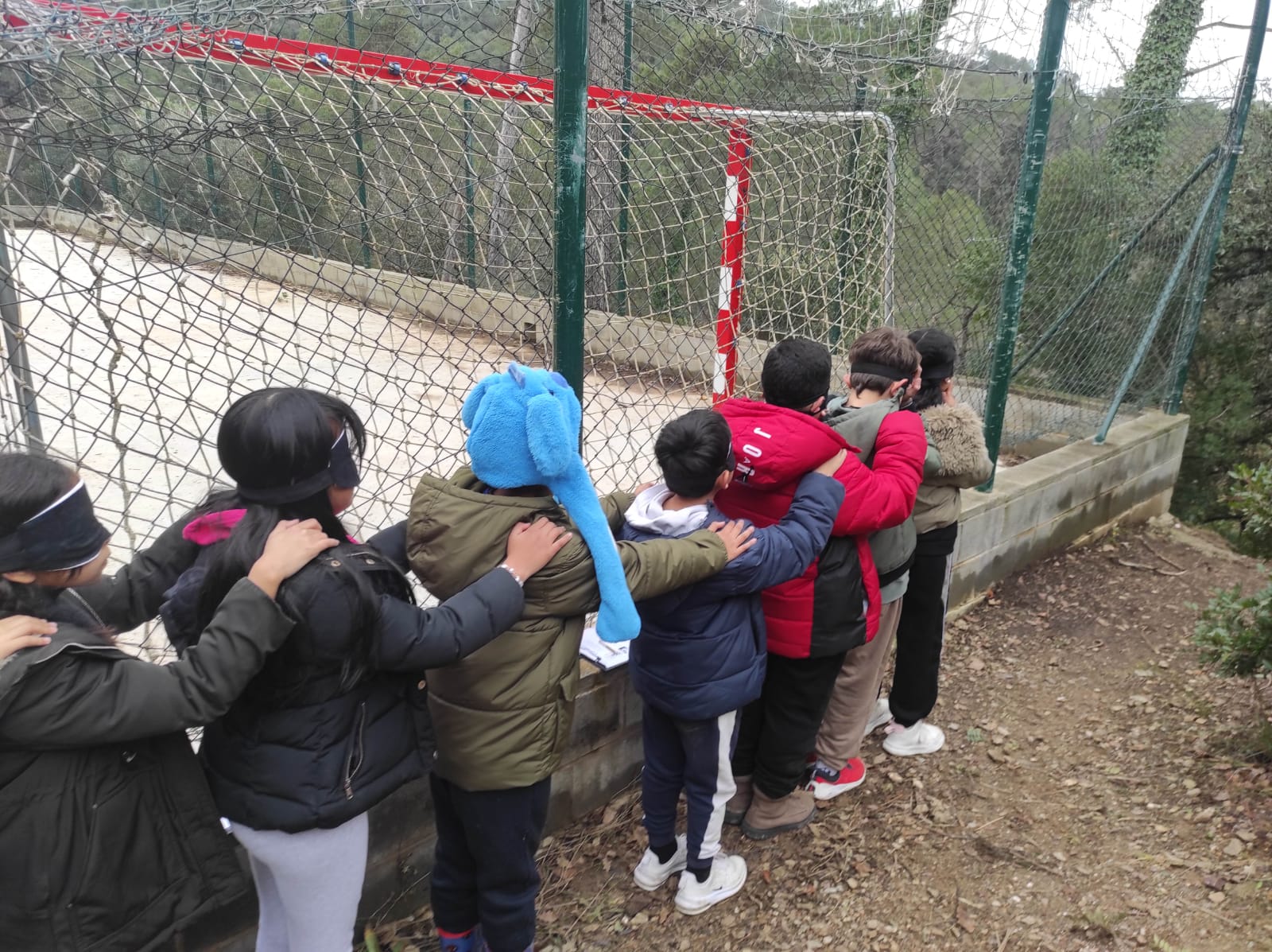 WhatsApp Image 2026-01-28 at 14.15.10 (4)