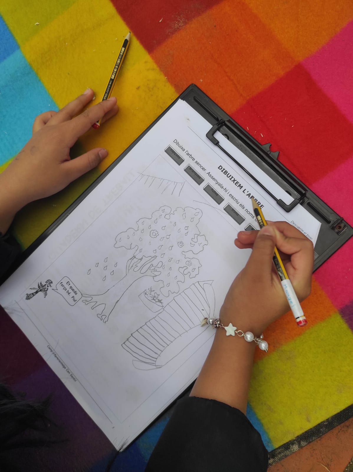 WhatsApp Image 2026-01-28 at 14.15.10 (5)