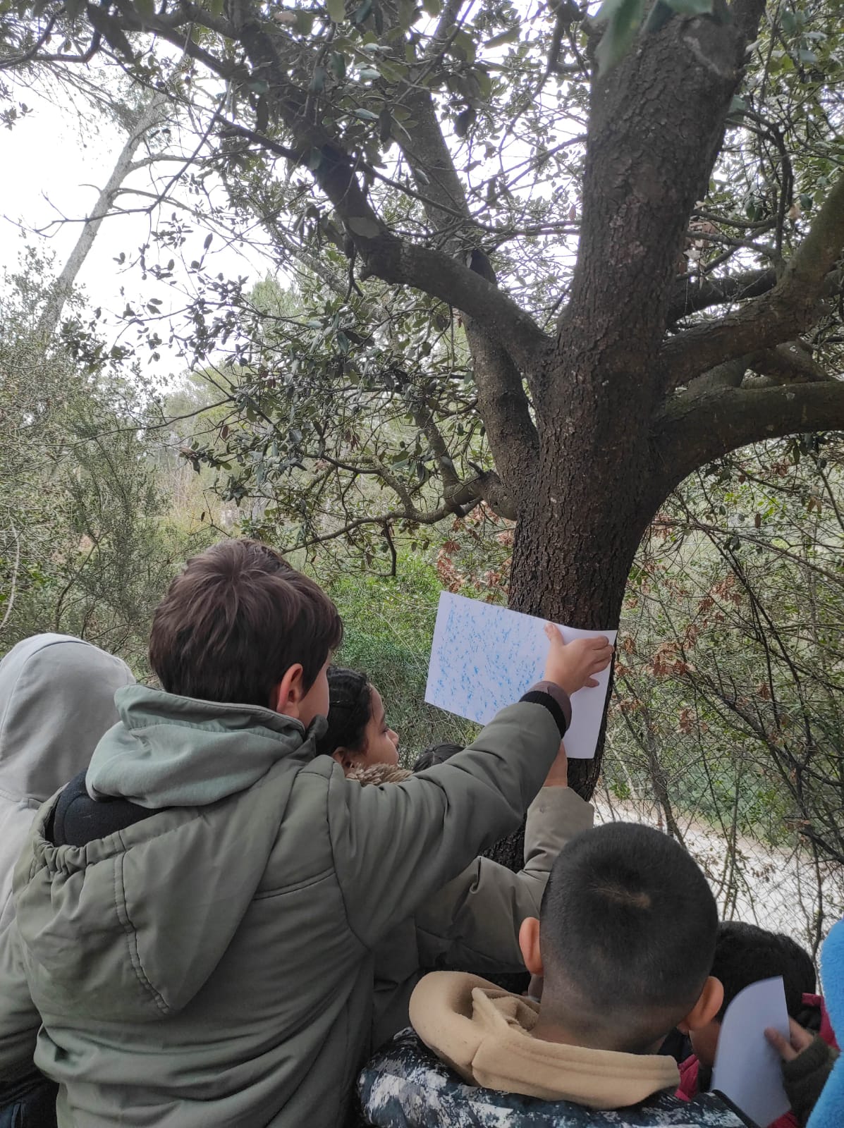 WhatsApp Image 2026-01-28 at 14.15.10