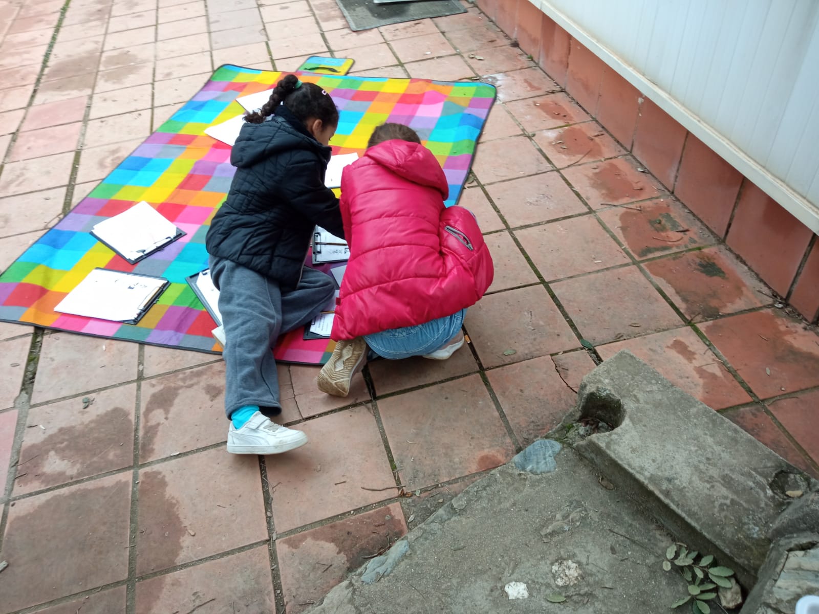 WhatsApp Image 2026-01-28 at 14.15.29 (1)