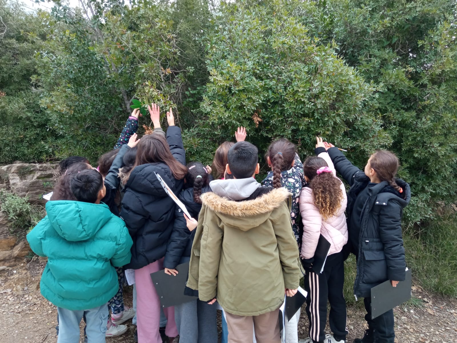 WhatsApp Image 2026-01-28 at 14.15.29