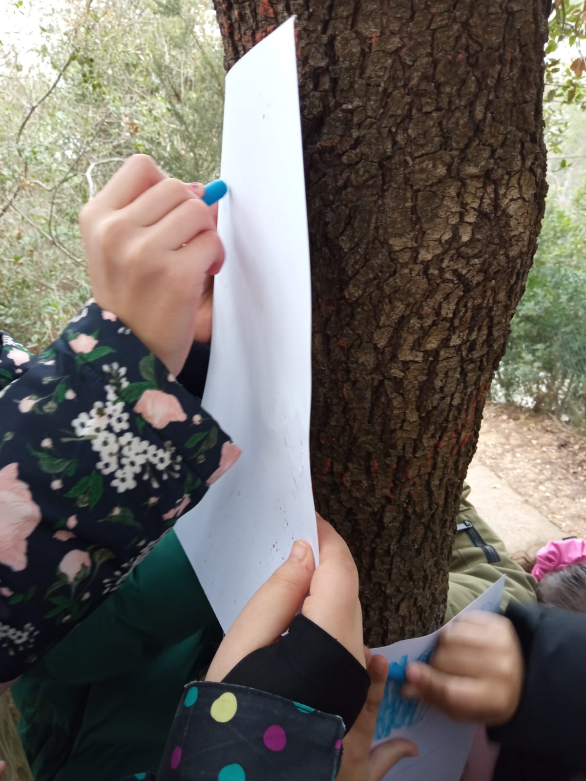 WhatsApp Image 2026-01-28 at 14.15.32