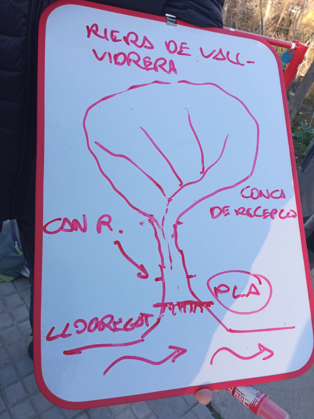 WhatsApp Image 2026-02-02 at 12.20.27