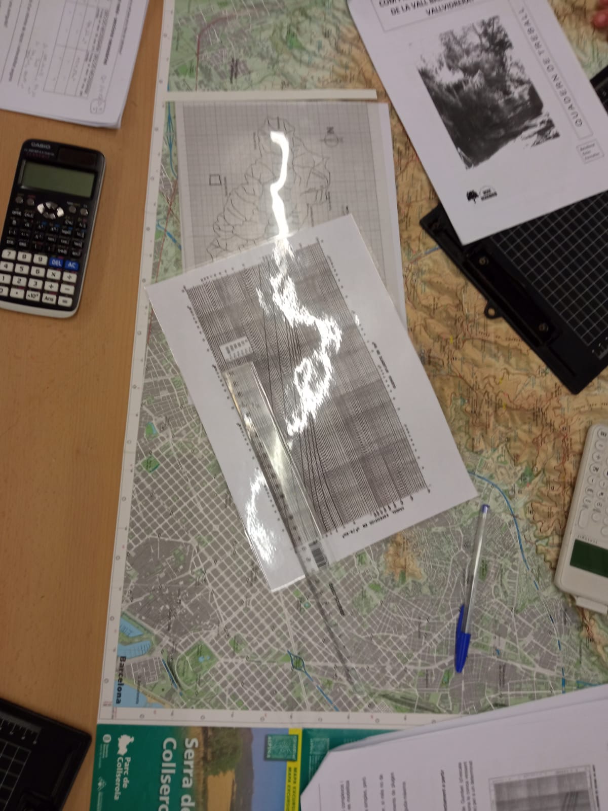 WhatsApp Image 2026-02-02 at 12.23.34