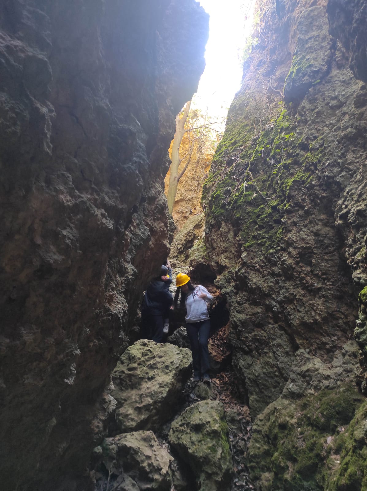 WhatsApp Image 2026-02-03 at 13.39.07 (1)