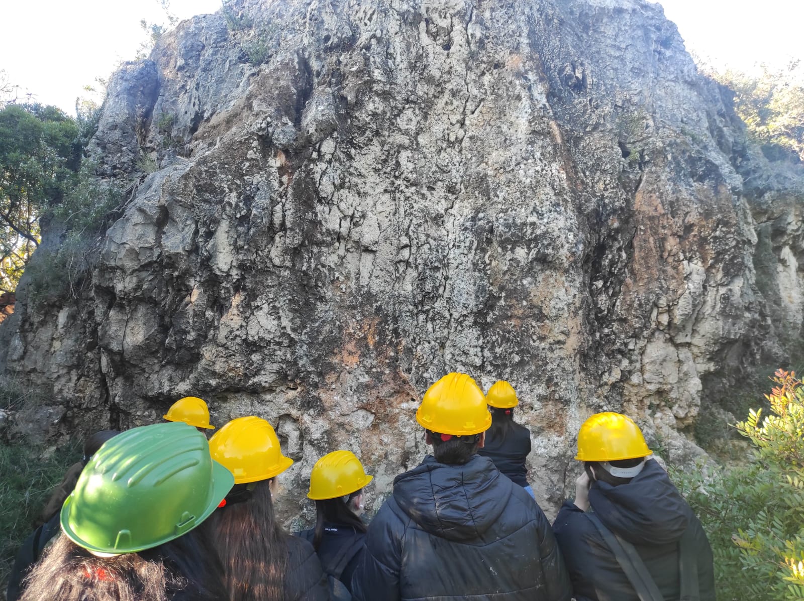 WhatsApp Image 2026-02-03 at 13.39.07 (11)