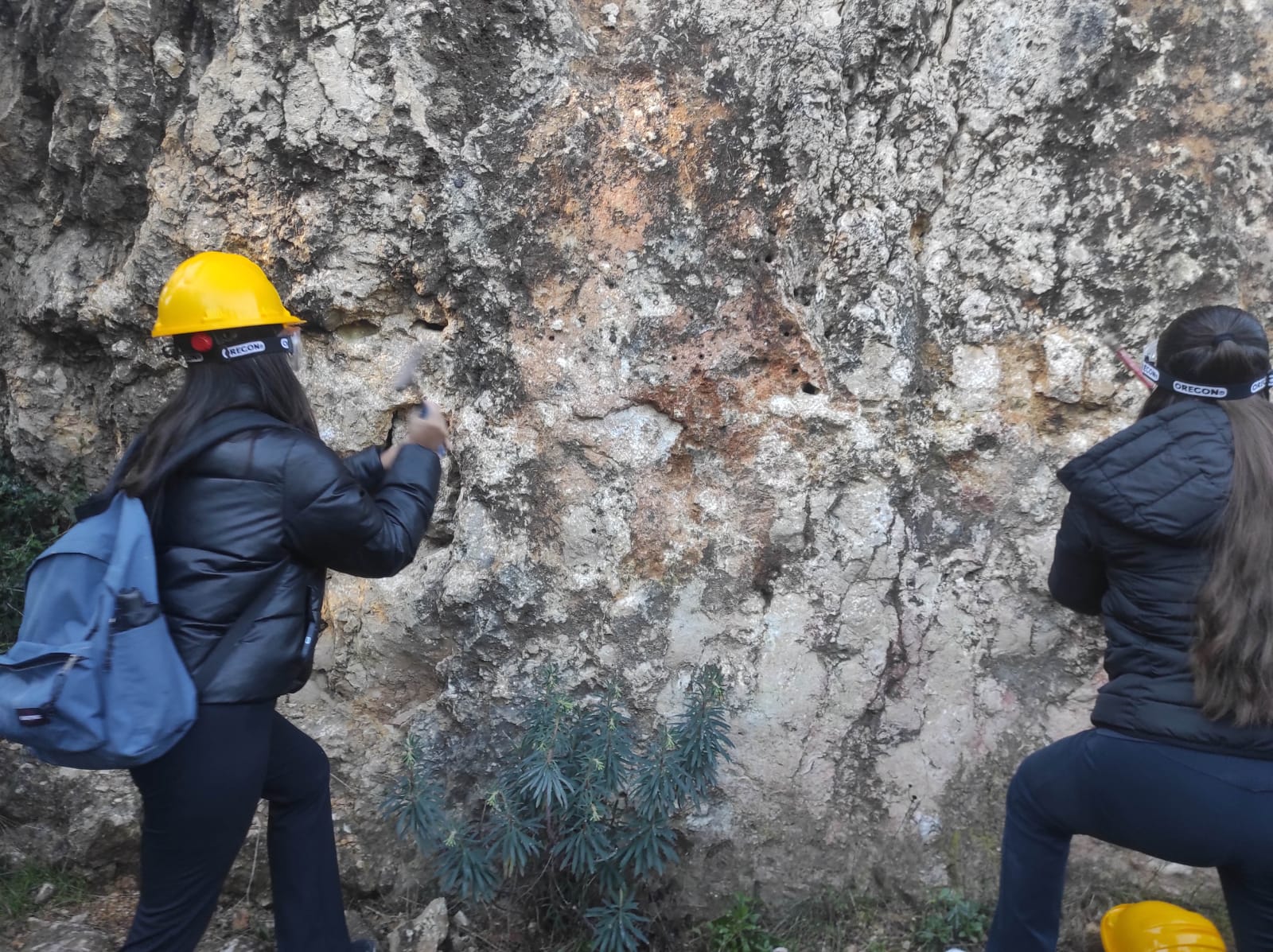 WhatsApp Image 2026-02-03 at 13.39.07 (12)