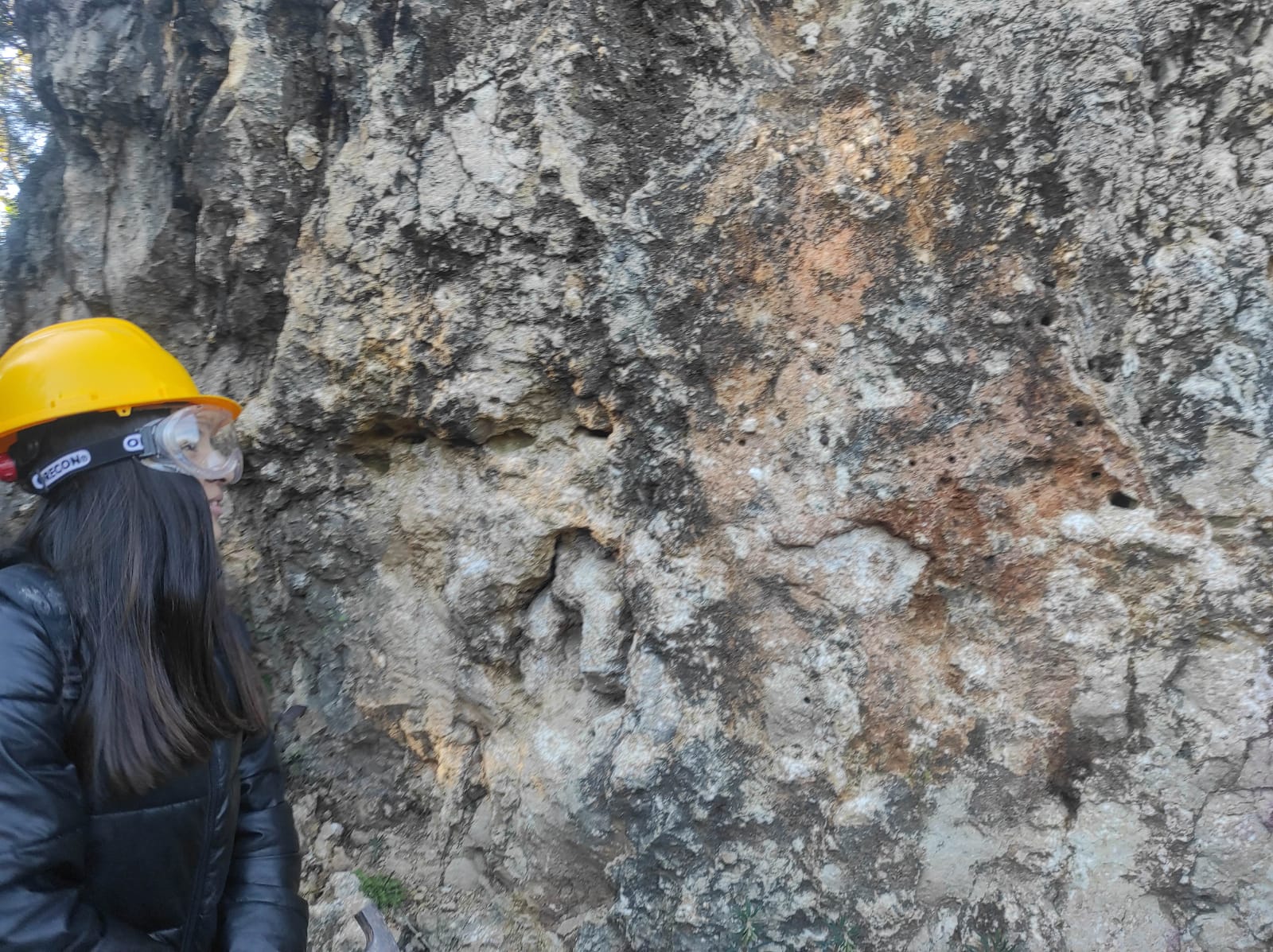 WhatsApp Image 2026-02-03 at 13.39.07 (13)