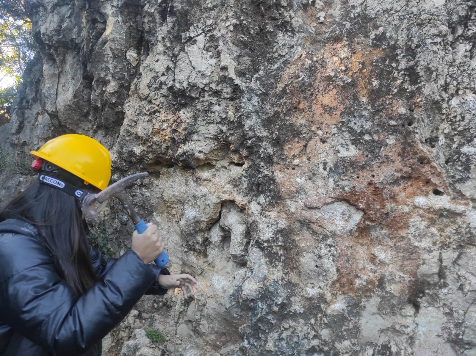 WhatsApp Image 2026-02-03 at 13.39.07 (14)