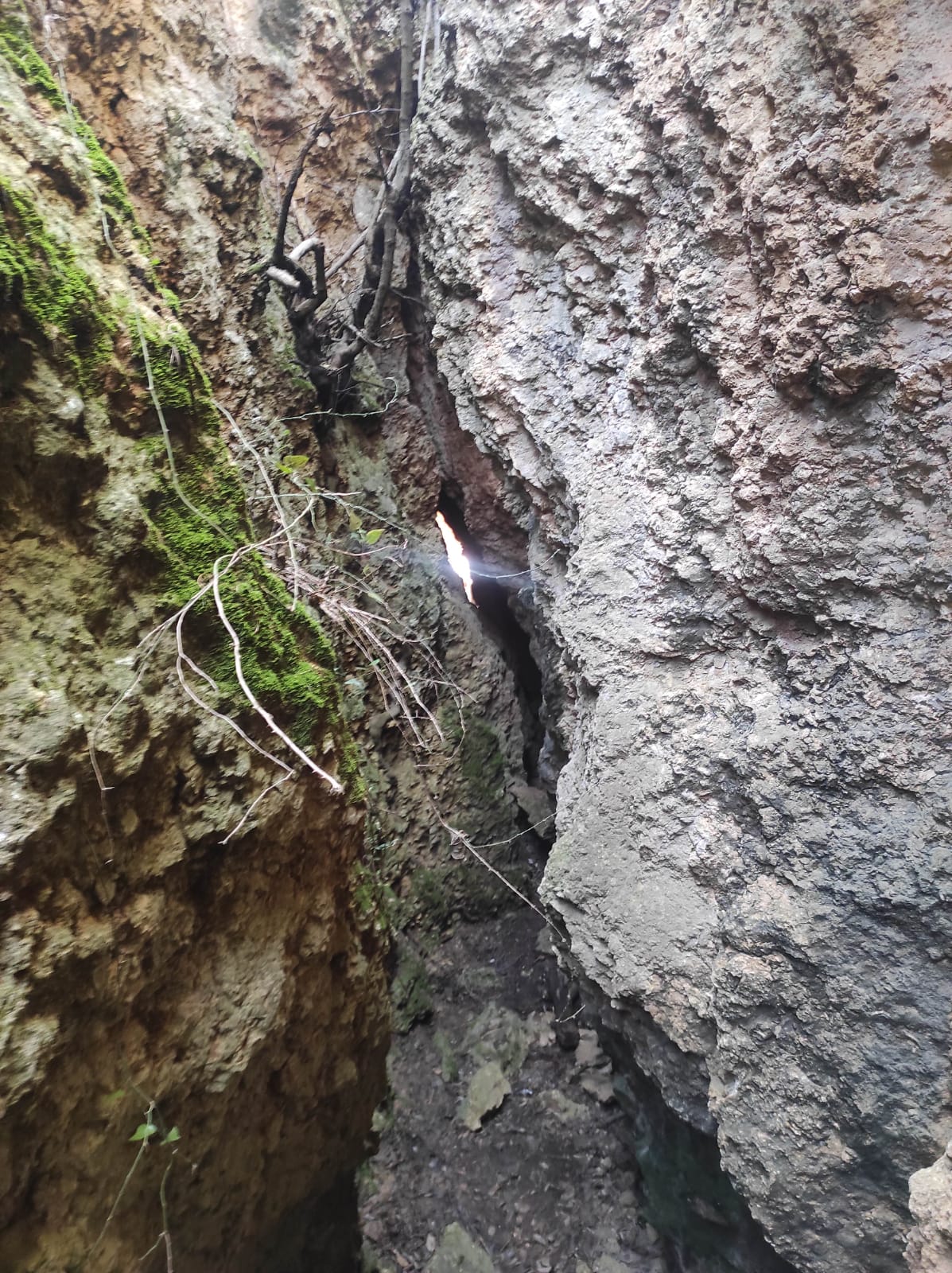 WhatsApp Image 2026-02-03 at 13.39.07 (2)