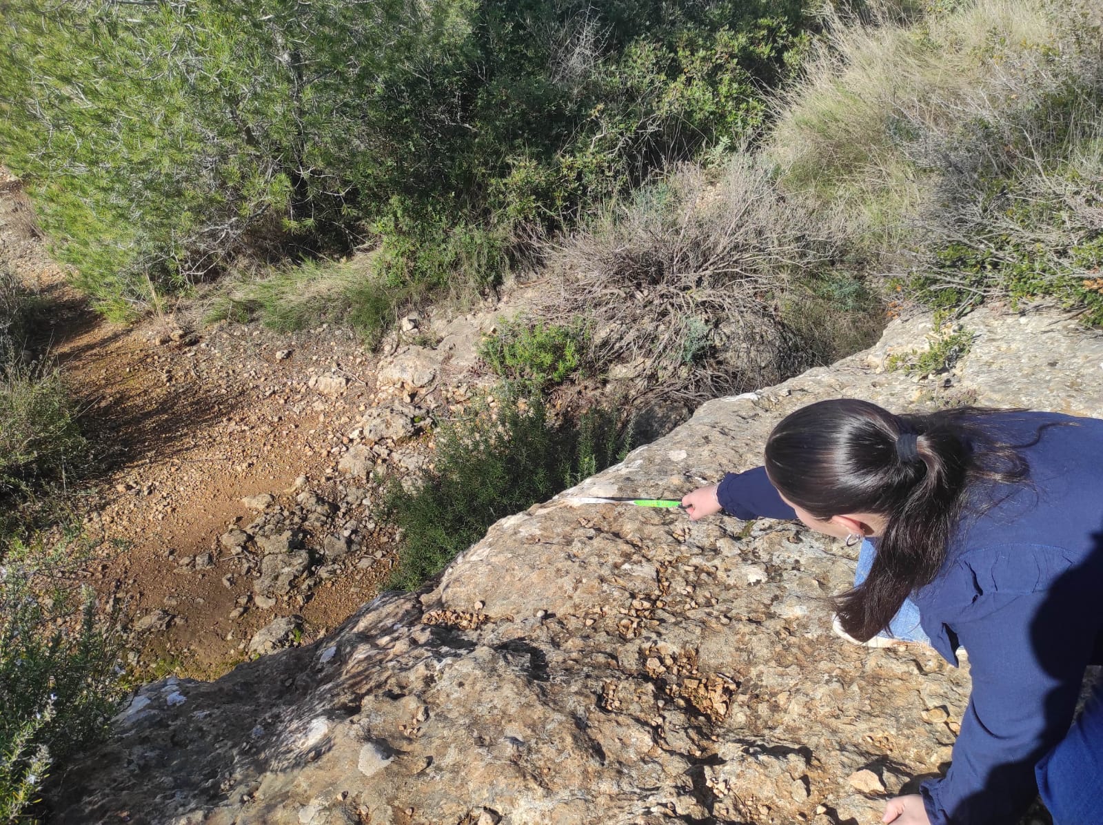 WhatsApp Image 2026-02-03 at 13.39.07 (3)